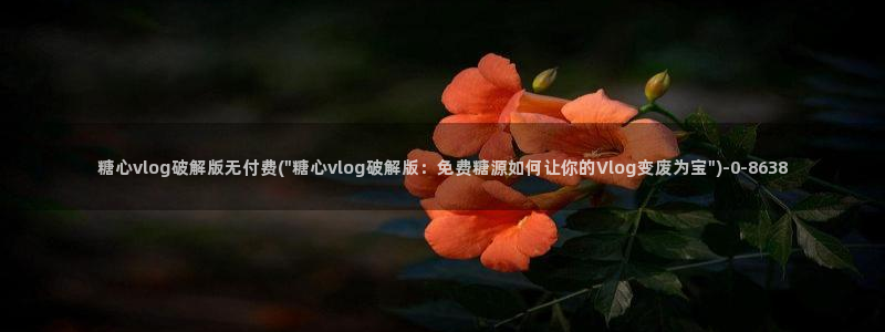 糖心vlog视频破解版：糖心vlog破解版无付费