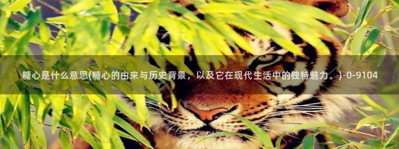 糖心传媒vlog：糖心是什么意思(糖心的由来与历