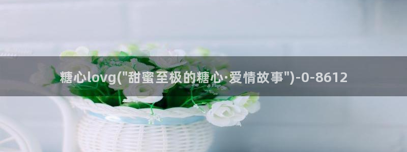 心糖vlog记录