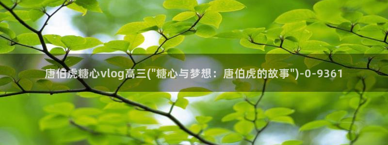 糖心vlog成人