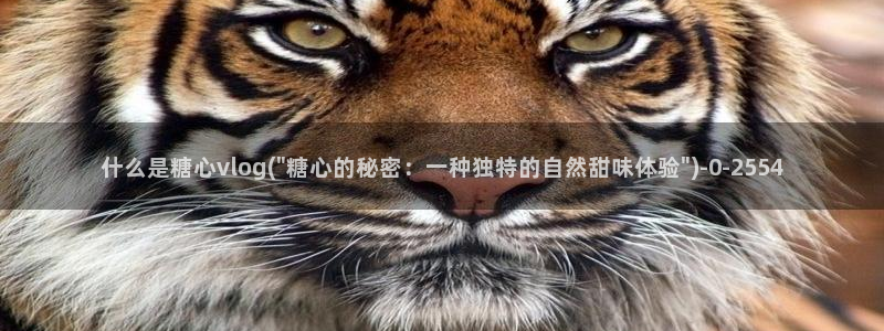 心糖vlogo：什么是糖心vlog(\